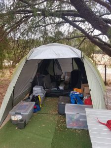 Understanding local experiences and needs